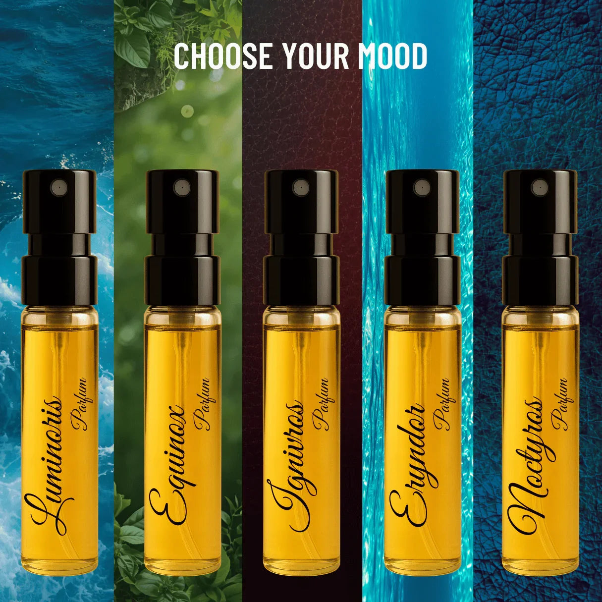 Édition Altair X | 10×3ml Designer Perfume Discovery Set | Collection of Aquatic, Woody, Seductive, Meditative Fragrances