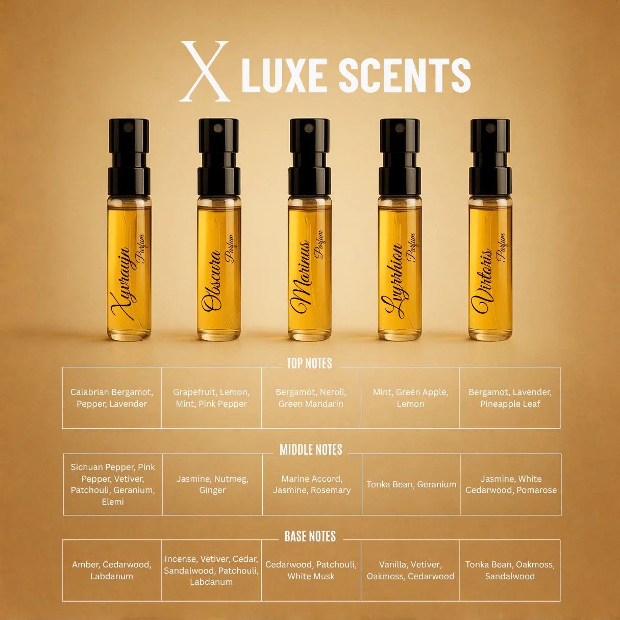 Édition Altair X | 10×3ml Designer Perfume Discovery Set | Collection of Aquatic, Woody, Seductive, Meditative Fragrances