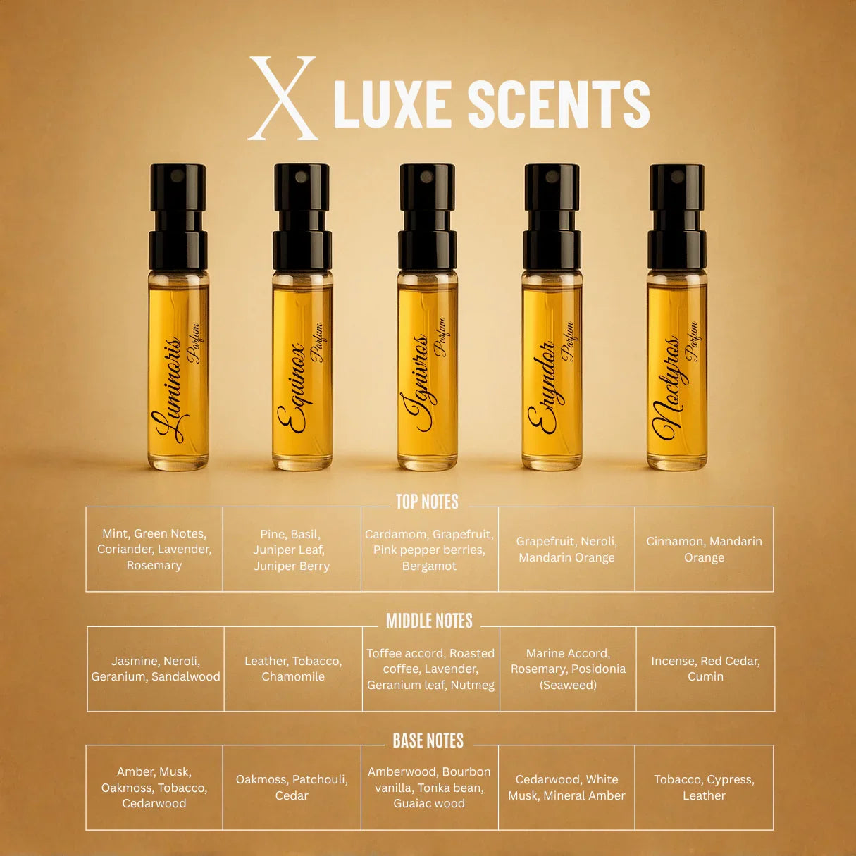 Édition Altair X | 10×3ml Designer Perfume Discovery Set | Collection of Aquatic, Woody, Seductive, Meditative Fragrances