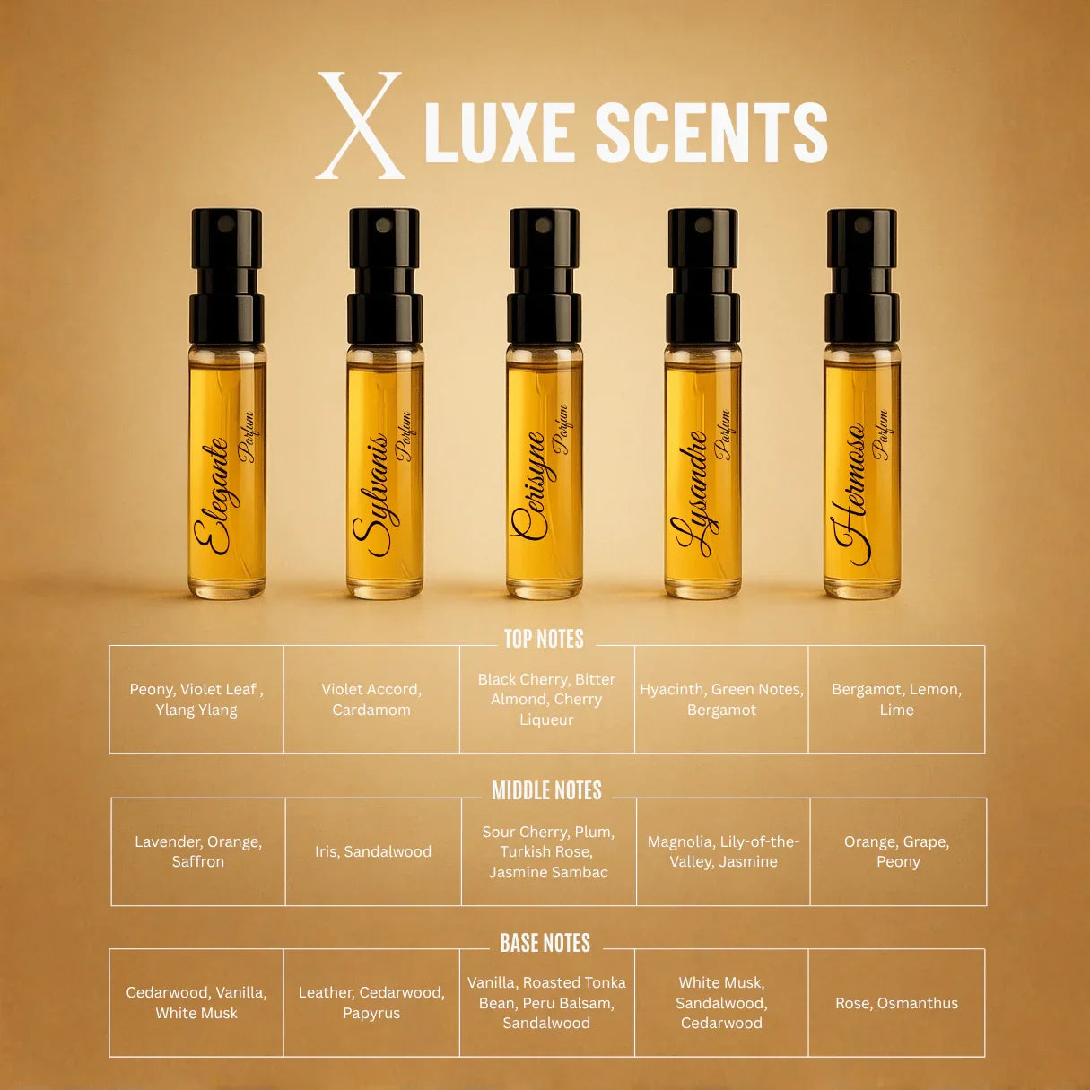 L’Atelier des Muses X | 10×3ml Unisex Designer Perfume Discovery Set | Collection of Floral, Woody, Seductive, Meditative Fragrances