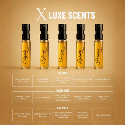 L’Atelier des Muses X | 10×3ml Unisex Designer Perfume Discovery Set | Collection of Floral, Woody, Seductive, Meditative Fragrances