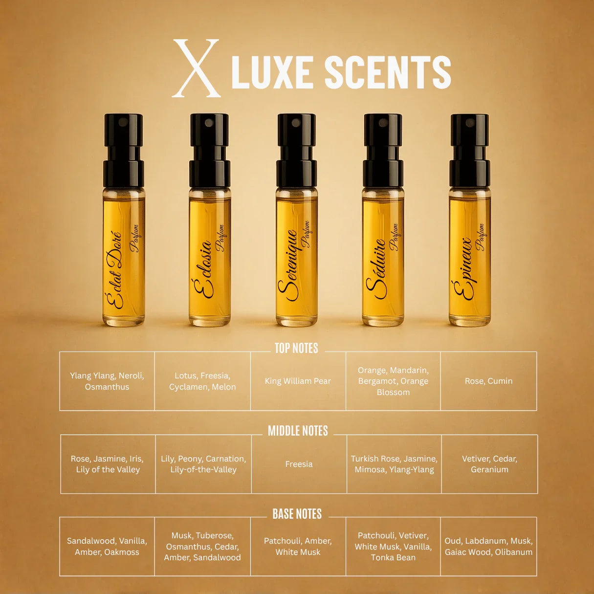 L’Atelier des Muses X | 10×3ml Unisex Designer Perfume Discovery Set | Collection of Floral, Woody, Seductive, Meditative Fragrances