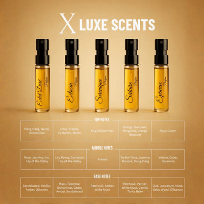 L’Atelier des Muses X | 10×3ml Unisex Designer Perfume Discovery Set | Collection of Floral, Woody, Seductive, Meditative Fragrances