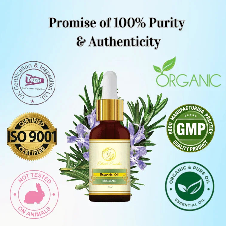 Rosemary Essential Oil – 100% Pure & Premium