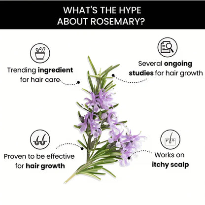 Rosemary Essential Oil – 100% Pure & Premium